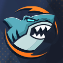 Player card