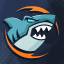 Player card